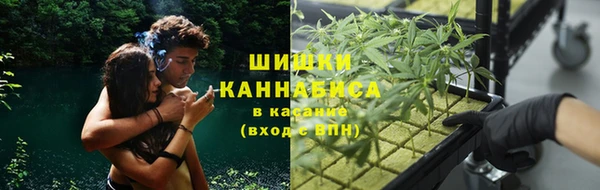 прущие грибы Дмитриев