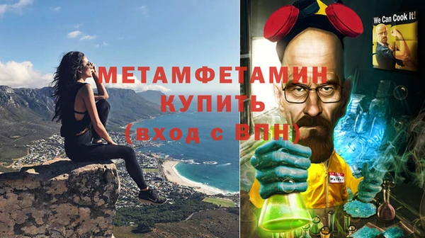 прущие грибы Дмитриев