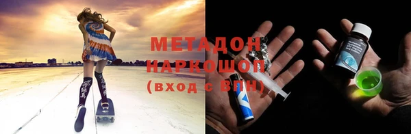 прущие грибы Дмитриев