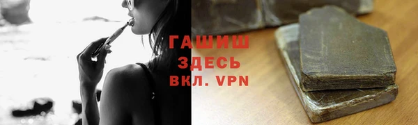 прущие грибы Дмитриев
