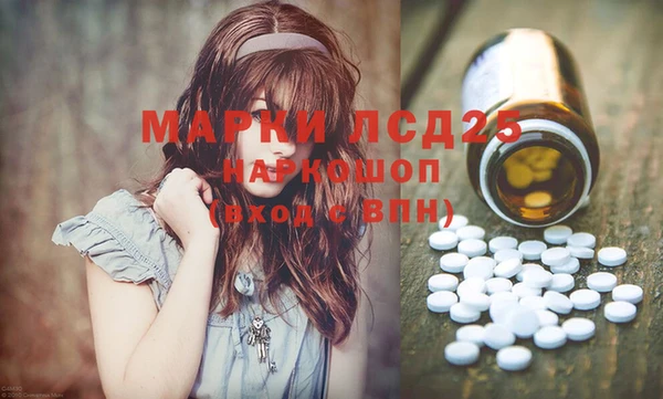 прущие грибы Дмитриев