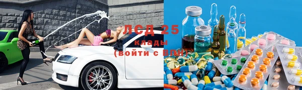 прущие грибы Дмитриев
