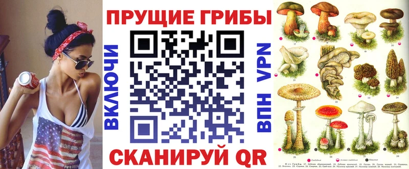 Галлюциногенные грибы Psilocybine cubensis  Купить где  Углич 